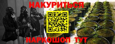 гидропоника Дубна