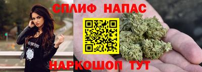 гидропоника Дубна